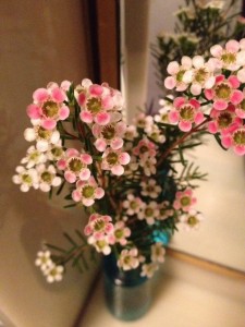 何てかわゆいの