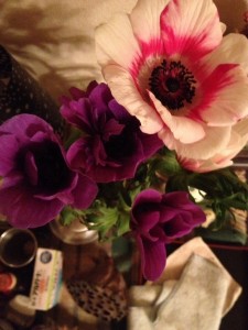 もうアネモネの時期 ？